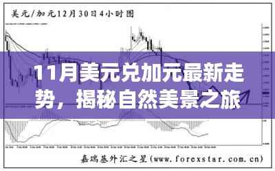 揭秘美元兑加元走势背后的故事,自然美景之旅启程,探寻内心的宁静与平和之旅