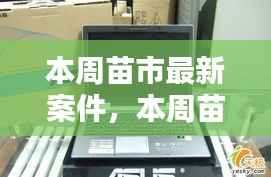 本周苗市热点揭秘，最新案件动态全掌握