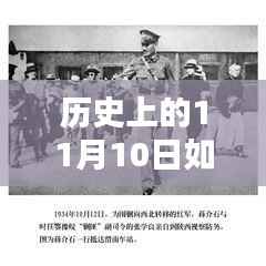历史上的11月10日,如松刀客大本营的最新动态及其观点探讨影响分析