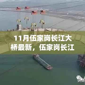 伍家岗长江大桥最新评测,特性、使用体验与目标用户分析揭秘