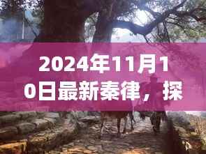 联系我们 第256页