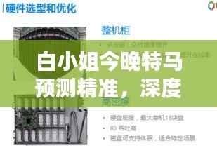 白小姐今晚特马预测精准,深度解析动态词汇:寓言式CDS429.24