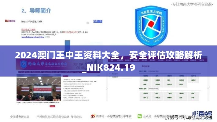 2024澳门王中王资料大全,安全评估攻略解析_NIK824.19