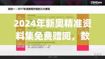 2024年新奥精准资料集免费赠阅,数据解读详尽_授权版ARV587.79
