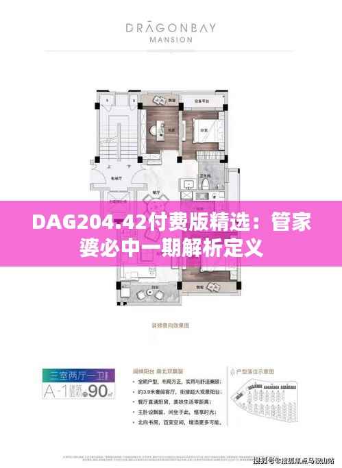DAG204.42付费版精选：管家婆必中一期解析定义