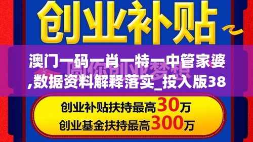 澳门一码一肖一特一中管家婆,数据资料解释落实_投入版388.6