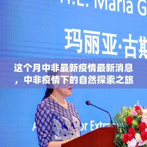 中非疫情最新动态,自然探索之旅寻求内心宁静与力量