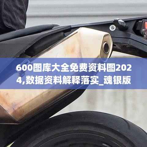 600图库大全免费资料图2024,数据资料解释落实_魂银版YCH825.3