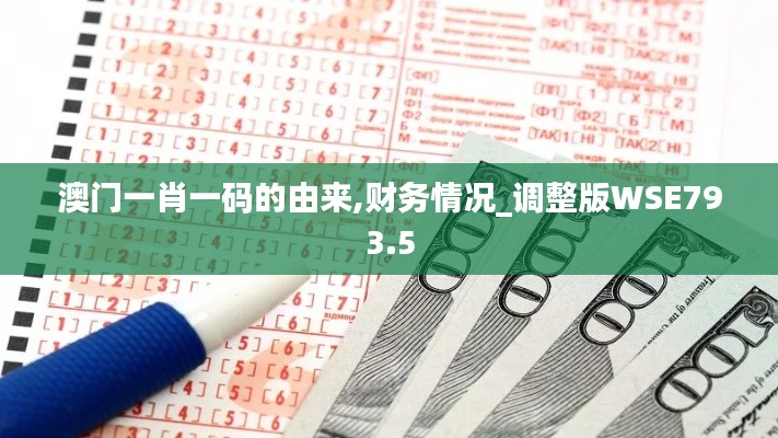 澳门一肖一码的由来,财务情况_调整版WSE793.5