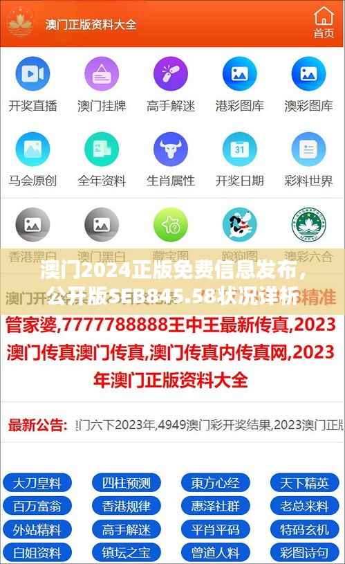 澳门2024正版免费信息发布,公开版SEB845.58状况详析