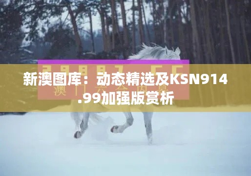 新澳图库:动态精选及KSN914.99加强版赏析