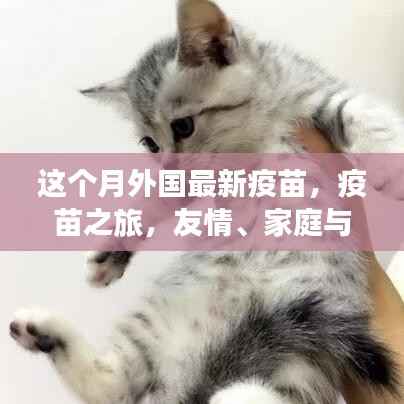 公司概况 第211页