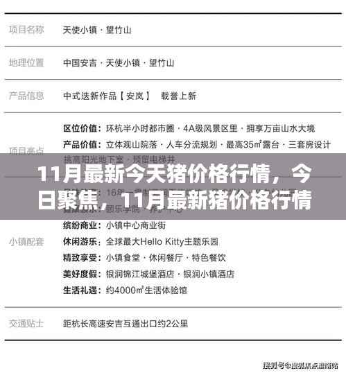 11月最新猪价格行情深度解析与今日聚焦