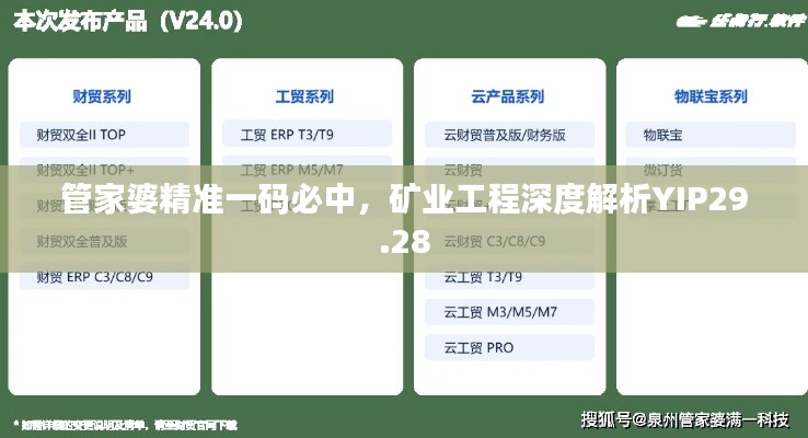 管家婆精准一码必中，矿业工程深度解析YIP29.28