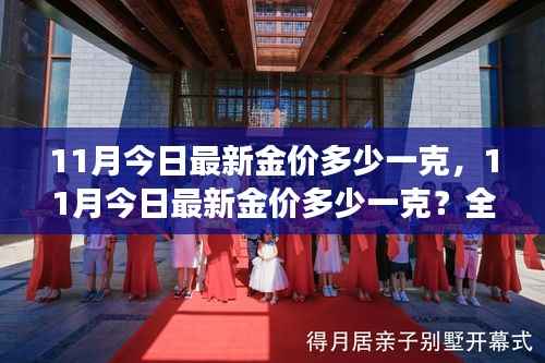 最新金价解析，11月黄金市场走势及每克最新价格