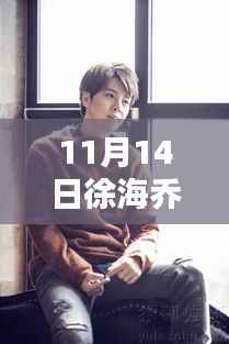 徐海乔最新时尚照片曝光,掌握潮流资讯,新手进阶指南揭秘如何获取并分析最新动态