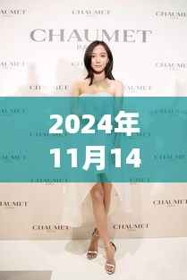 迪丽热巴闪耀时尚芭莎之夜,2024年璀璨瞬间的独家报道