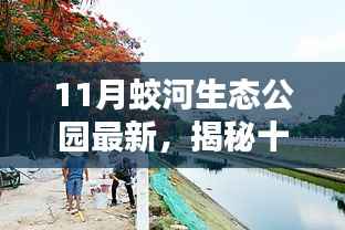 揭秘十一月蛟河生态公园隐藏的特色小店,绿色秘境探寻之旅