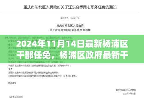 杨浦区政府最新干部任免动态,聚焦新任干部及未来展望(更新至2024年)