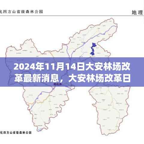 大安林场改革故事会，最新消息与温馨改革之旅（2024年11月14日）