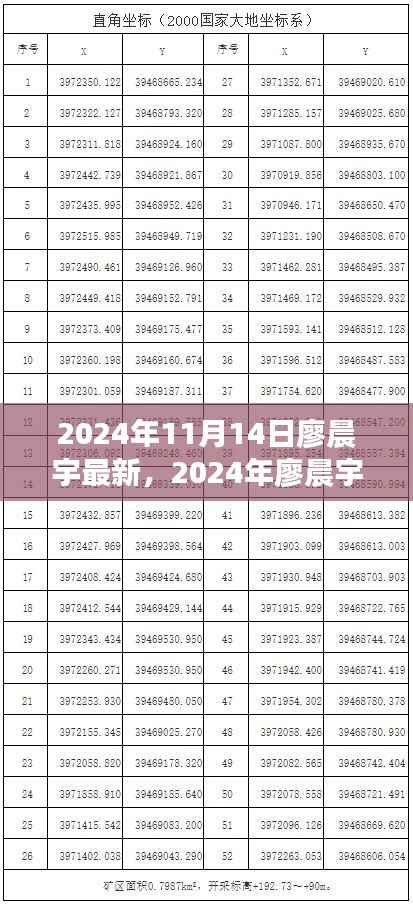 廖晨宇成长轨迹揭秘，最新动态与未来展望（2024年）