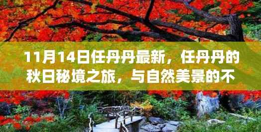 公司概况 第193页