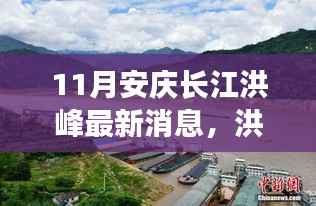 联系我们 第195页