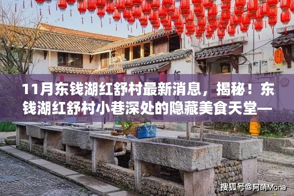 揭秘东钱湖红舒村最新动态，小巷美食天堂独家报道