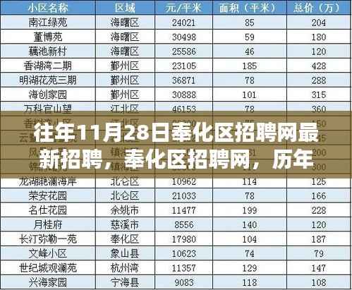 历年11月28日奉化区招聘网人才盛宴深度回顾与最新招聘信息汇总