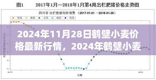 2024年鹤壁小麦价格最新行情及市场走势分析，影响因素探讨