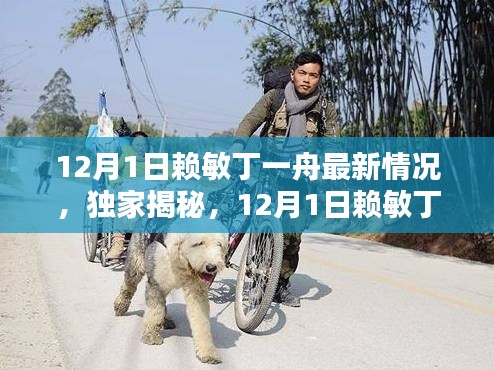 独家揭秘,赖敏丁一舟最新动态,12月1日最新情况速递