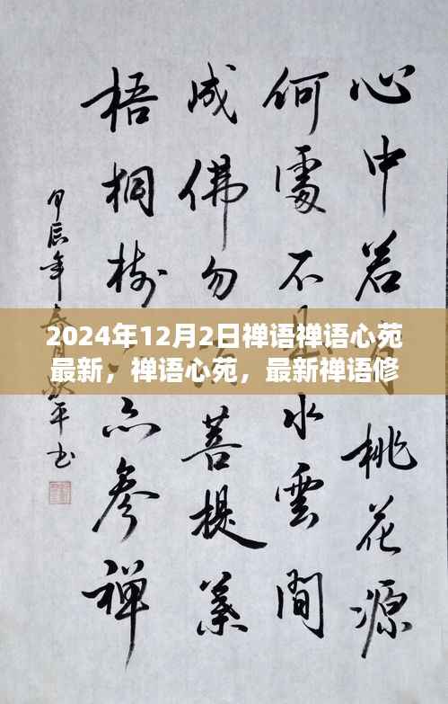 禅语心苑，最新禅语修行指南（初学者与进阶用户适用）——每日禅悟，开启心灵之旅
