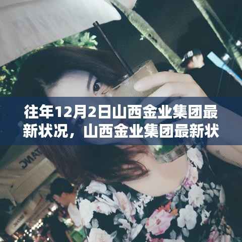 山西金业集团最新深度评测与介绍,历年发展概况及现状分析