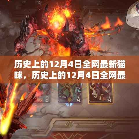 历史上的12月4日全网最新猫咪产品评测与介绍专题文章