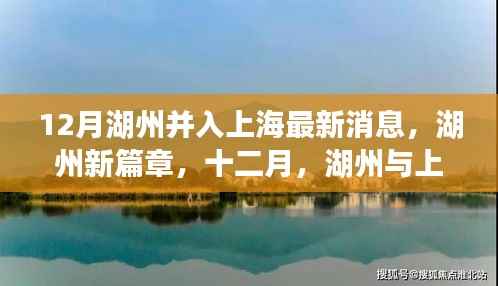 湖州与上海的联动日常,十二月新篇章,温暖联动最新消息