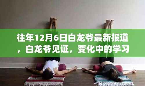 白龙爷见证,学习之旅的蜕变与成就感的魔法时刻