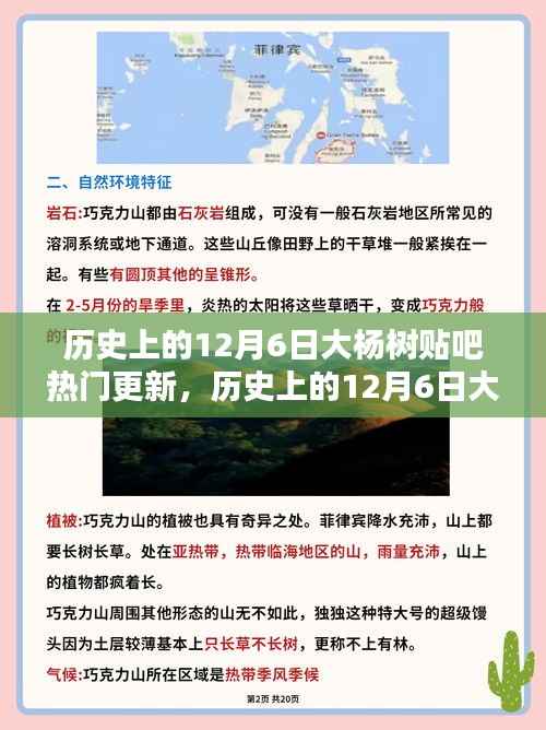 历史上的12月6日大杨树贴吧热门更新,深度分析与观点阐述