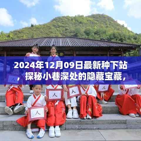 探秘最新种下站,小巷深处的隐藏宝藏与特色小店推荐(2024年12月09日)