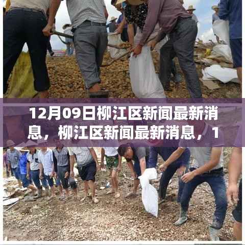 柳江区新闻回顾与最新动态,12月09日影响及消息一览