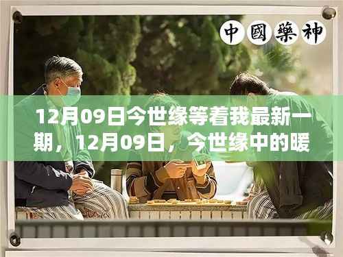 12月09日今世缘中的暖心日常,友情与爱,共度时光