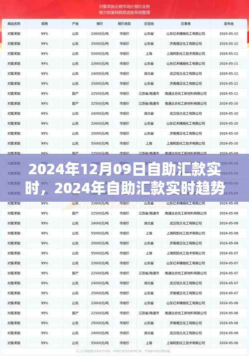 自助汇款实时趋势下的金融革新，机遇与挑战并存（2024年12月09日）