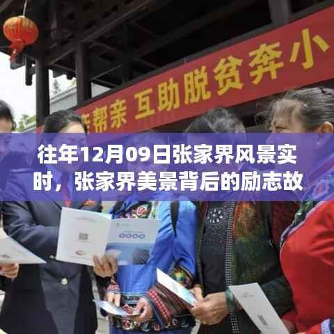 张家界美景背后的励志故事,自信与成长的蜕变历程(实时记录)