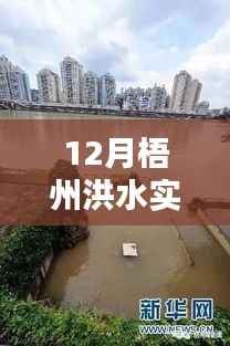 梧州洪水实时监测,系统深度评测、特性、体验、竞品对比及用户分析
