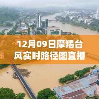摩羯台风直播,12月09日实时路径图直播观看指南及初学者指南