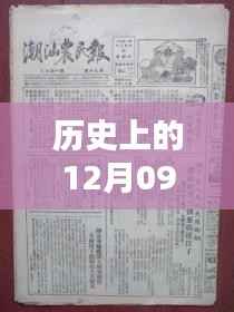 初一下册政治实时播报器，革命性科技新品，智能时代播报新纪元体验