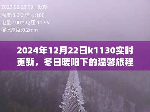冬日暖阳下的温馨旅程，K1130列车2024年12月22日实时更新行程揭秘