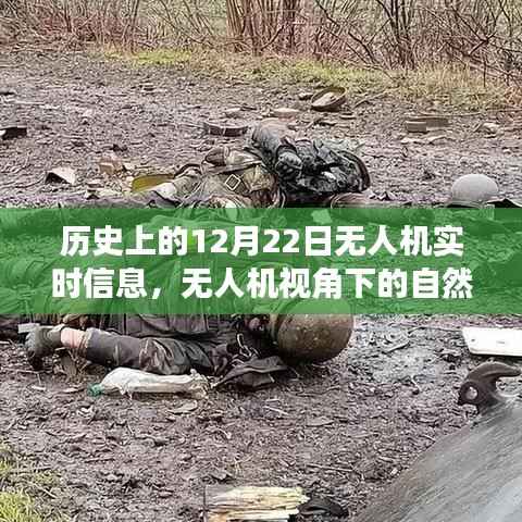 无人机视角下的历史秘境,自然之旅与宁静历史的探索纪实