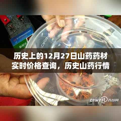 十二月二十七日山药药材之旅,历史实时价格查询与行情揭秘,探寻内心平静的旅程