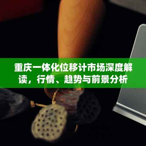 重庆一体化位移计市场深度解读,行情、趋势与前景分析