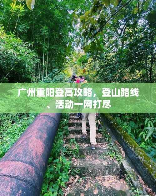 广州重阳登高攻略,登山路线、活动一网打尽